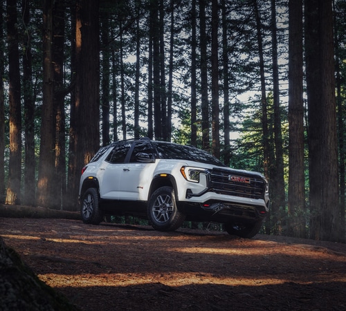 White GMC SUV parked in a dense forest with tall trees and soft sunlight filtering through.