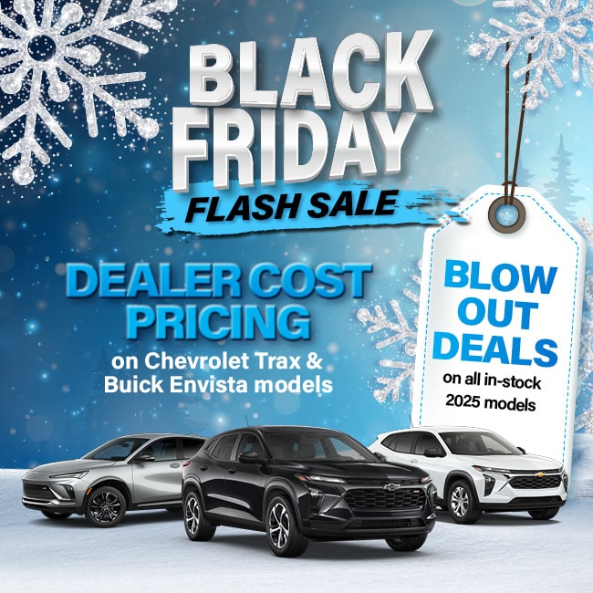 Black Friday Flash Sale